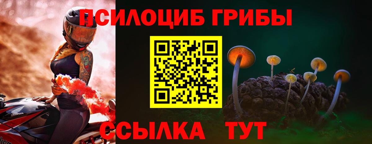 Псилоцибиновые грибы MAGIC MUSHROOMS Славянск-на-Кубани